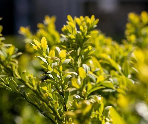 Prázdninový dům Casa Maia