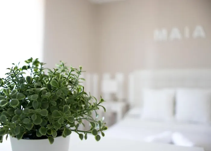 Casa Maia Prázdninový dům A Coruña